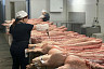 В Саратове утилизировали восемь тонн опасного мяса и рыбы